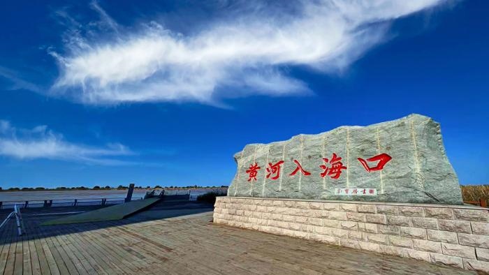 △黃河入?？谖挥谏綎|東營(yíng)市墾利區(qū)。(總臺(tái)央視記者彭漢明拍攝)