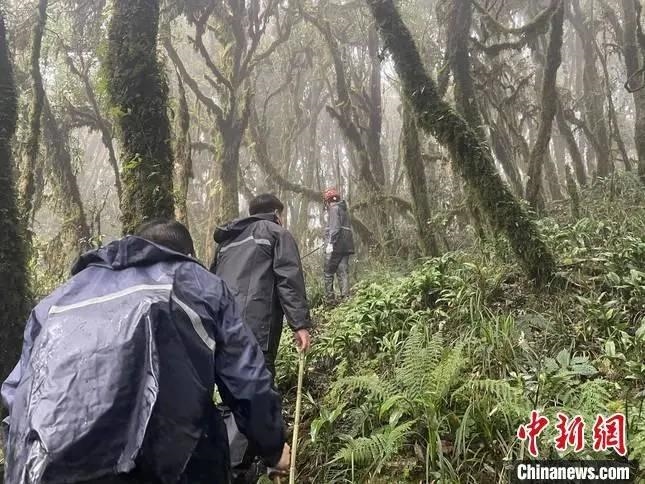 圖為救援現(xiàn)場(chǎng)。鎮(zhèn)沅縣委宣傳部提供