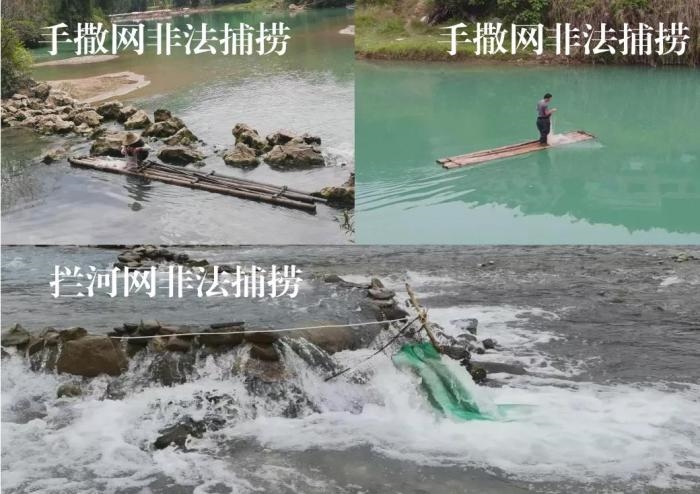 2021年9—10月，前期暗查發(fā)現(xiàn)，保護(hù)區(qū)核心區(qū)內(nèi)非法捕撈行為十分猖獗