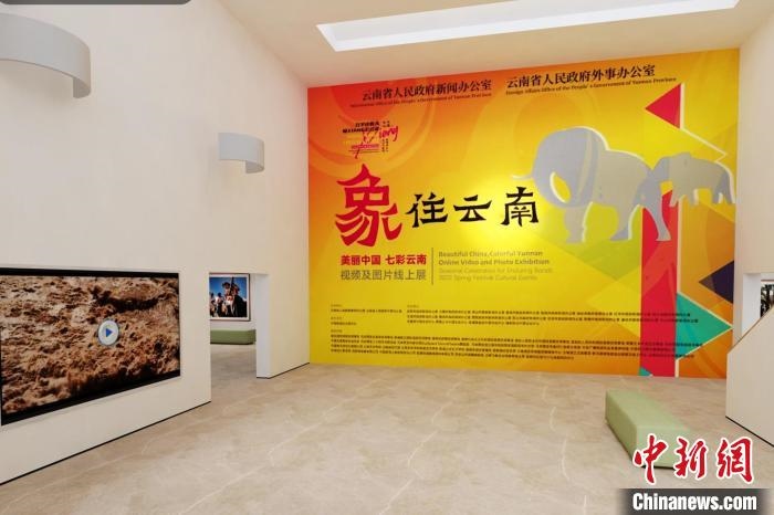 圖為“象”往云南——美麗中國(guó) 七彩云南視頻及圖片線上展截圖?！『h(yuǎn)航 攝