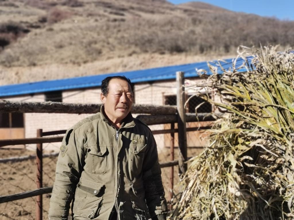 1月19日，山西省岢嵐縣脫貧戶呂如堂在牛圈前準(zhǔn)備草料。新華社記者 梁曉飛 攝
