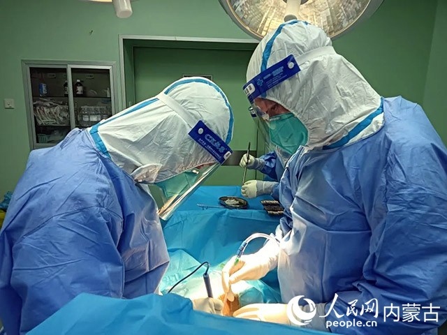 醫(yī)護人員正在為新冠肺炎合并腸梗阻腸穿孔的尿毒癥患者實施急診手術(shù)。呼和浩特市第一醫(yī)院供圖