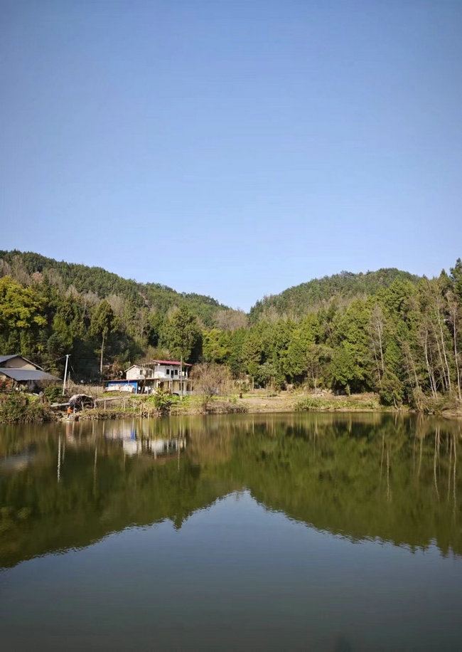 這樣在對面看，老家也算依山傍水.jpg