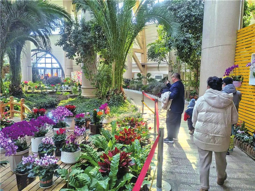 植物園1.jpg