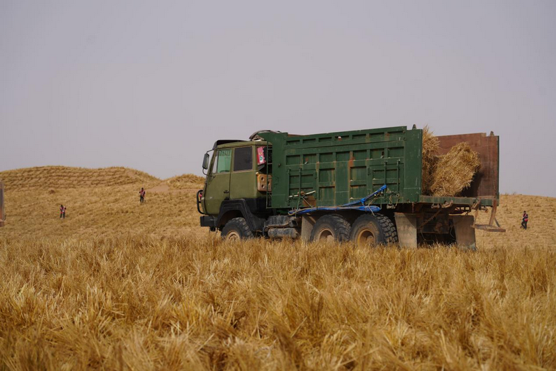 阿拉善運(yùn)輸?shù)静?png