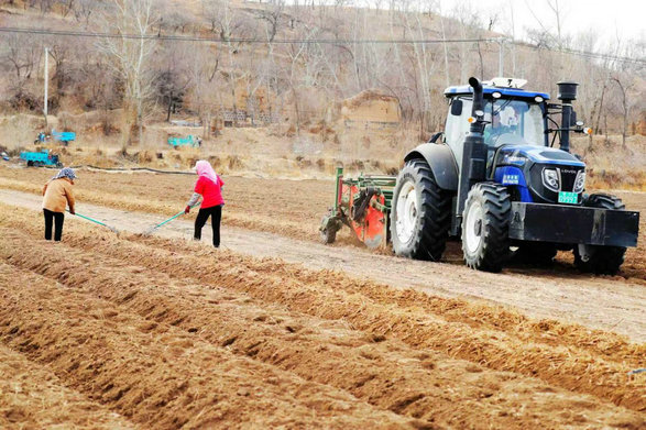 1774942667374806.jpg 藥材3.jpg