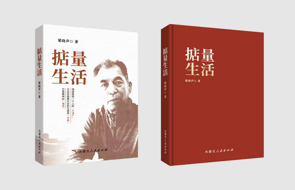《掂量生活》書影.png