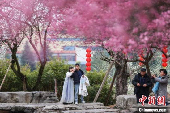 2月23日，市民在乾藝梅園景區(qū)觀賞綻放的梅花。瞿宏倫 攝