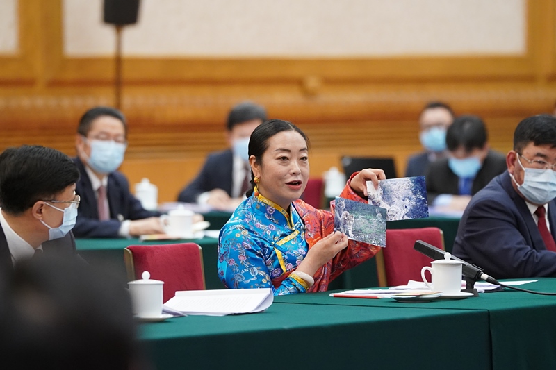 2021年3月7日，習(xí)近平總書記在參加十三屆全國(guó)人大四次會(huì)議青海代表團(tuán)審議時(shí)，全國(guó)人大代表孔慶菊在會(huì)上展示了兩張照片，上面分別是祁連山地區(qū)多年不見蹤跡的雪豹和荒漠貓。