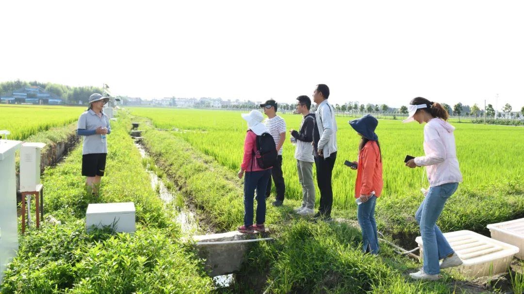 △云南大理古生村科技小院成員在田間調(diào)查。