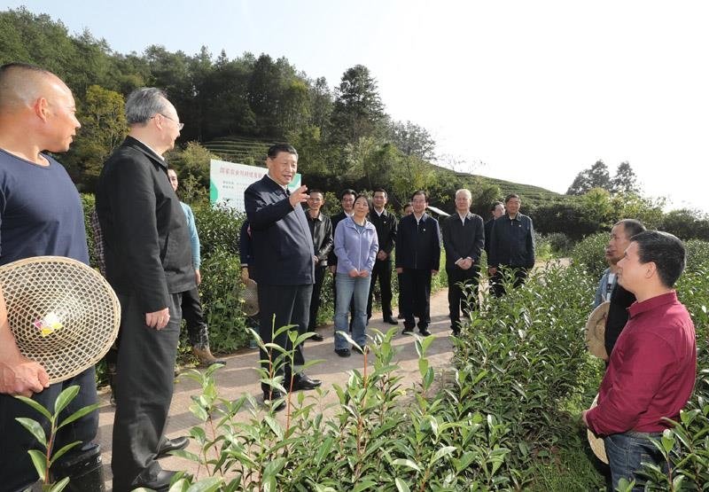 2021年3月22日，習(xí)近平總書記在福建南平武夷山市星村鎮(zhèn)燕子窠生態(tài)茶園，同科技特派員、茶農(nóng)親切交流，了解當(dāng)?shù)夭璁a(chǎn)業(yè)發(fā)展情況。