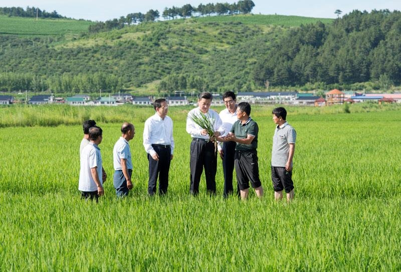 2015年7月16日，習(xí)近平總書記在吉林延邊州光東村稻田同村民和農(nóng)技人員交流。