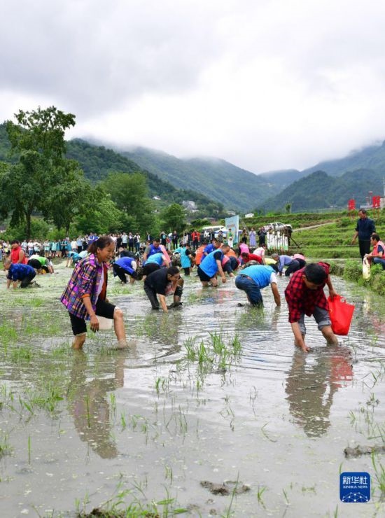 5月27日，秭歸縣九畹溪鎮(zhèn)農(nóng)民參加摸魚比賽。