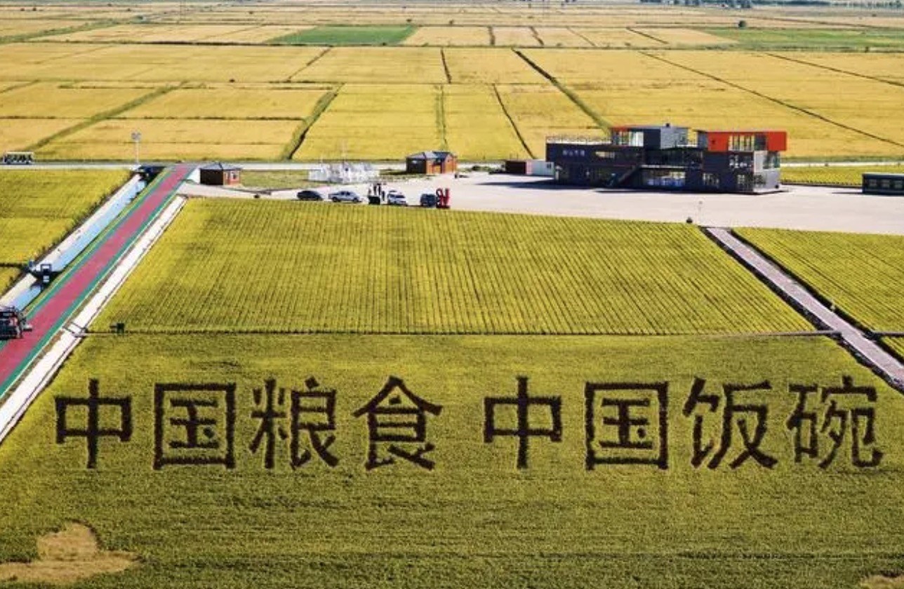 2022年9月2日，黑龍江省富錦市萬畝水稻科技示范園內(nèi)的稻田畫。