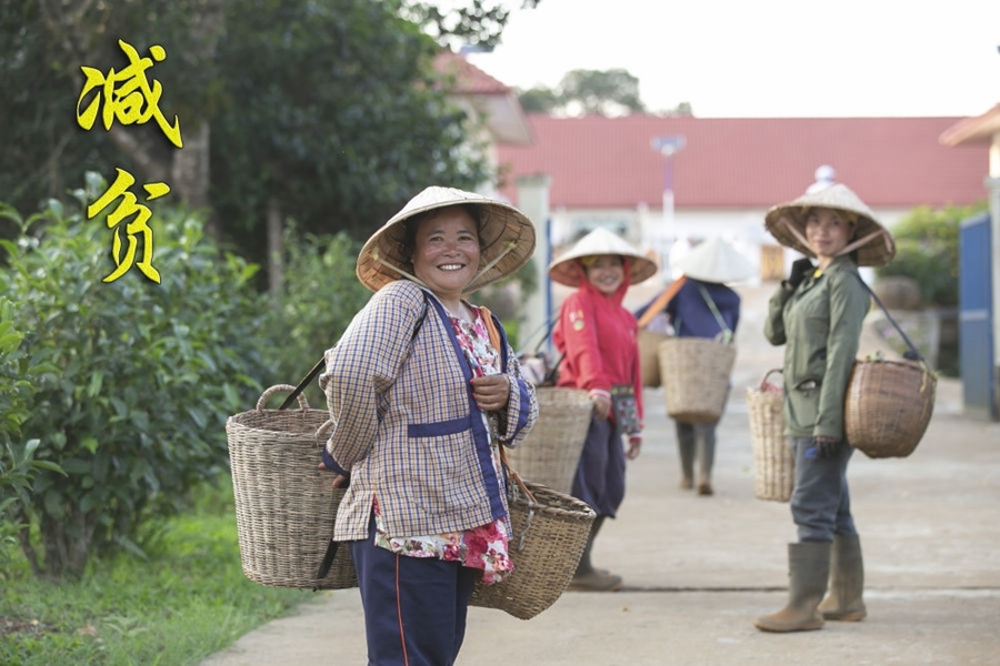 村民到老撾南部波羅芬高原上的36莊園茶廠售賣(mài)茶葉（2022年3月25日攝）。中資公司老撾36莊園有限公司近年來(lái)在老撾南部高原開(kāi)發(fā)當(dāng)?shù)毓挪铇?shù)資源，以中國(guó)工藝制茶，依靠茶產(chǎn)業(yè)帶動(dòng)當(dāng)?shù)匕傩彰撠氈赂弧? width=