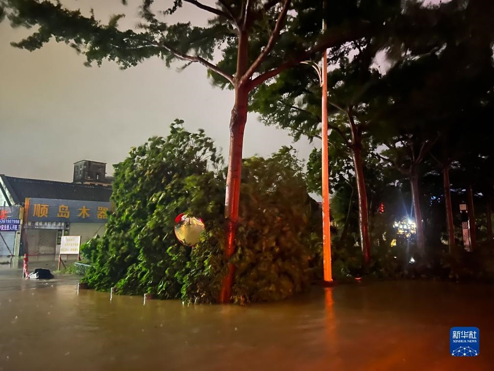 7月17日晚，在廣東湛江海濱大道北，路邊的樹木被風(fēng)刮倒（手機(jī)照片）。新華社記者 鄧華 攝