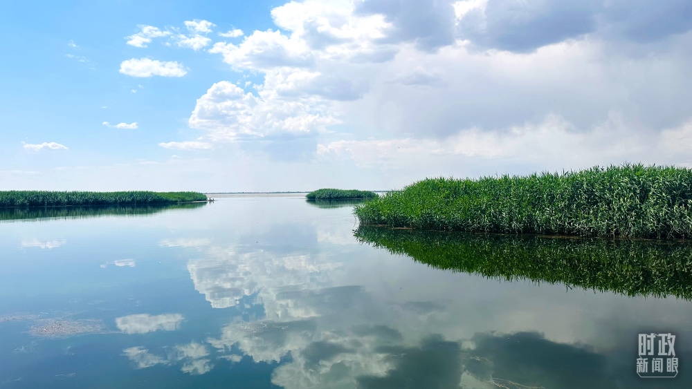 內(nèi)蒙古烏梁素海，是黃河流域最大的湖泊濕地。（總臺(tái)央視記者范一鳴拍攝）