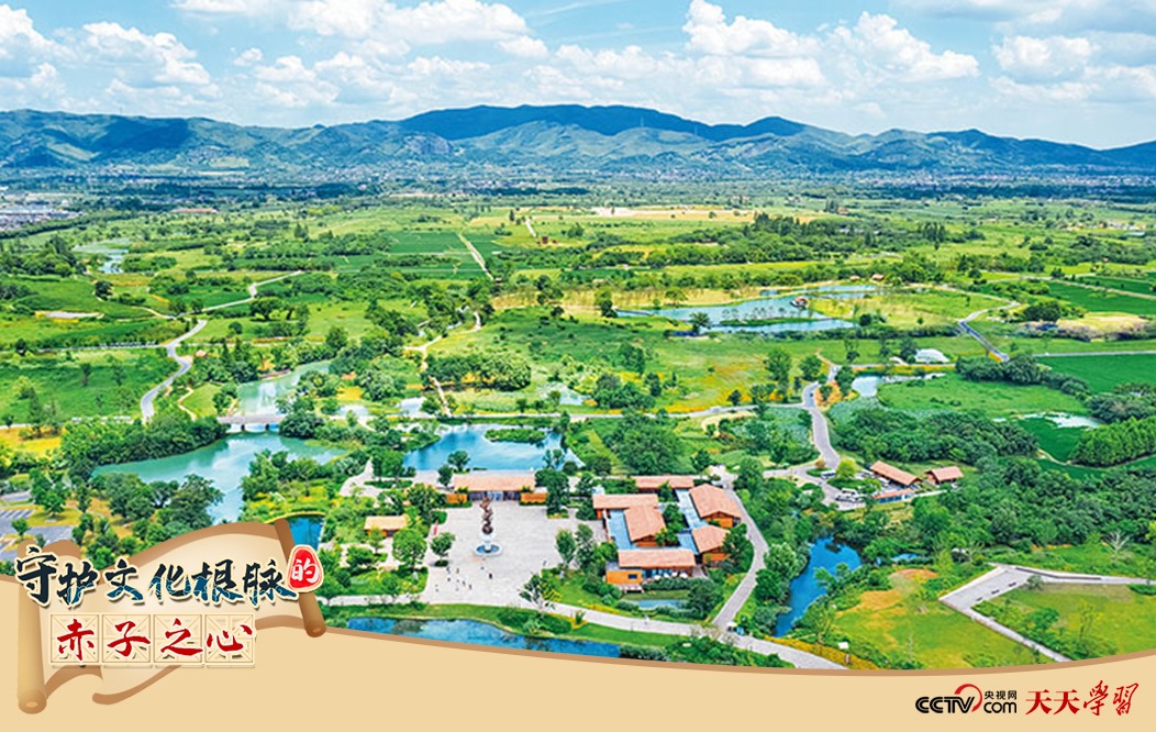 圖為2021年7月拍攝的良渚古城遺址公園。