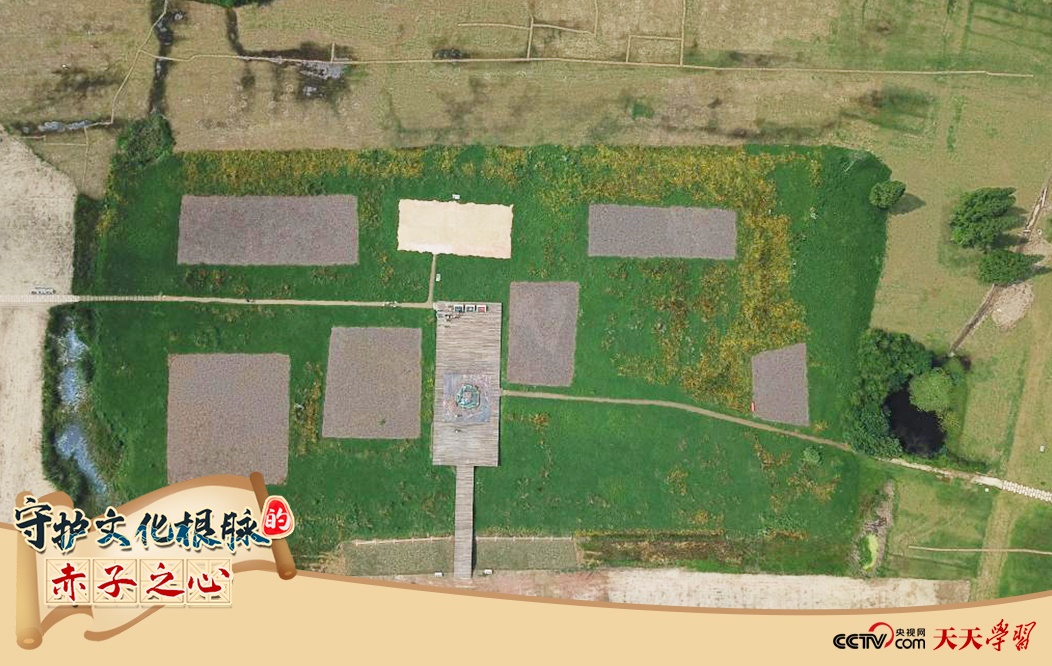 2019年6月23日無人機拍攝的良渚國家考古遺址公園的宮殿區(qū)。