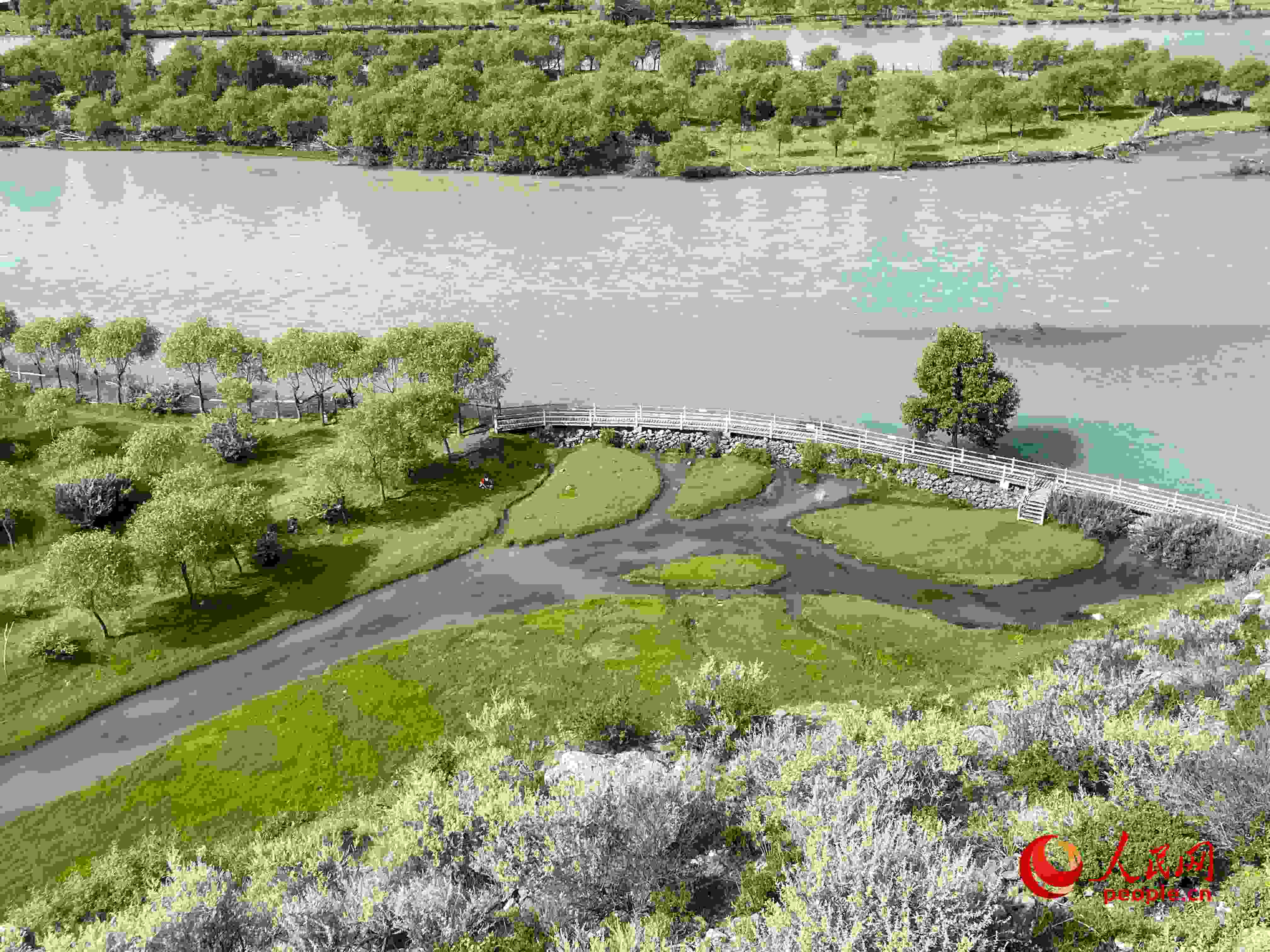 夏日的雅尼國(guó)家濕地公園生機(jī)盎然，如詩(shī)如畫(huà)。人民網(wǎng) 周靜圓攝