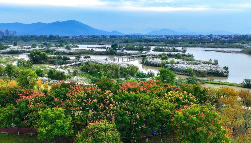 2022年10月11日拍攝的天漢濕地公園景色。新華社發(fā)（宋曉麗 攝）