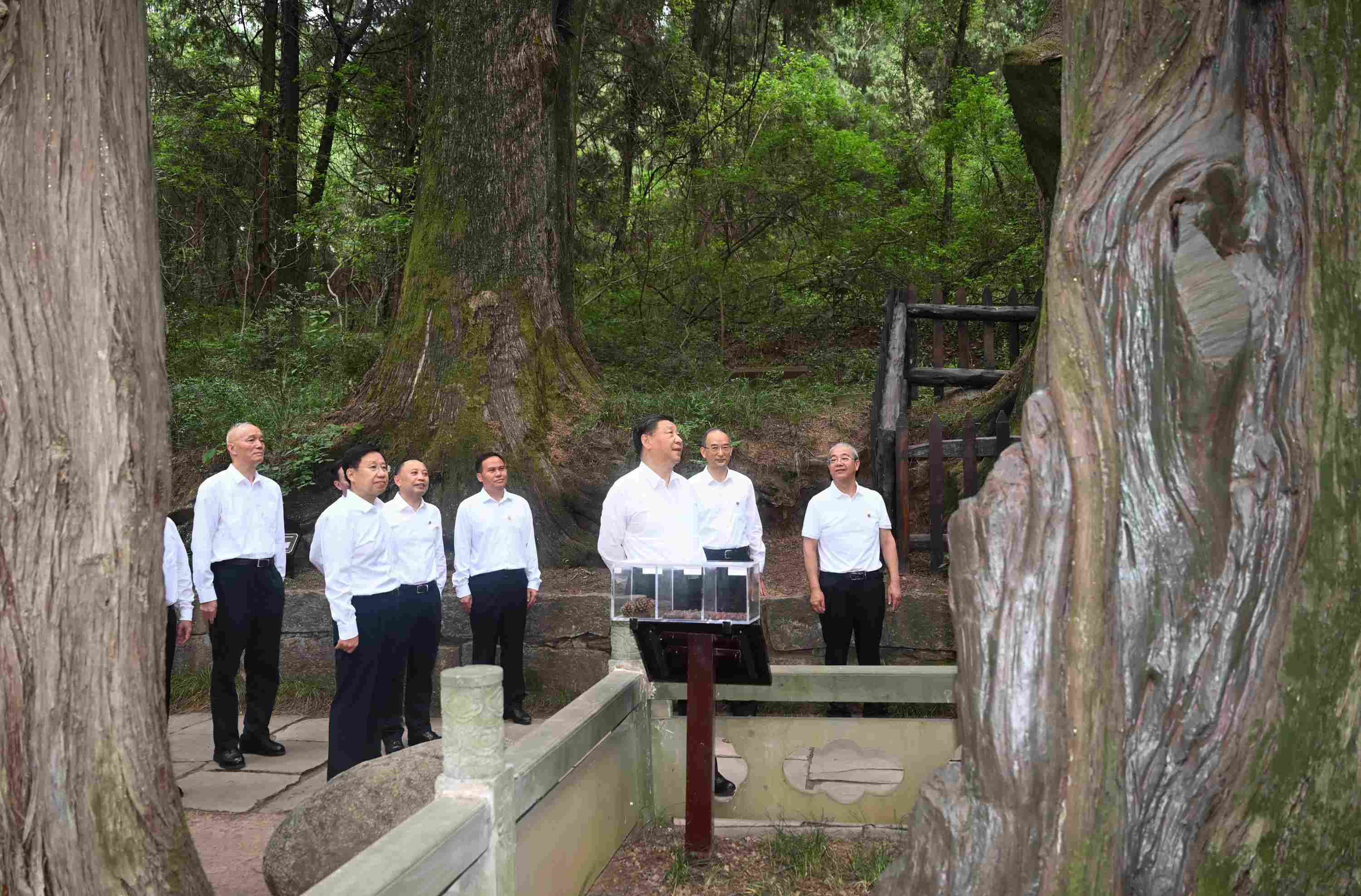 △2023年7月25日，習(xí)近平總書記在四川省廣元市考察了翠云廊古蜀道，了解當(dāng)?shù)赝七M(jìn)歷史文化傳承、加強(qiáng)生態(tài)文明建設(shè)等情況。