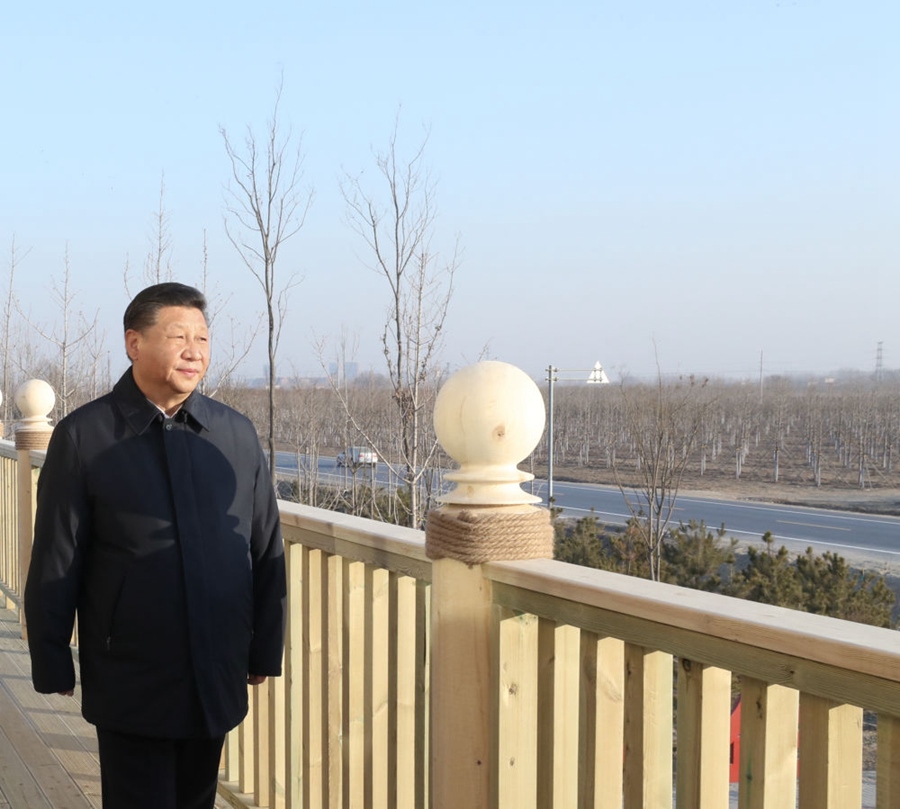 2019年1月16日，習(xí)近平在河北雄安新區(qū)考察調(diào)研。在“千年秀林”大清河片林一區(qū)造林區(qū)域，習(xí)近平登上秀林驛站二層平臺(tái)遠(yuǎn)眺林區(qū)全貌。