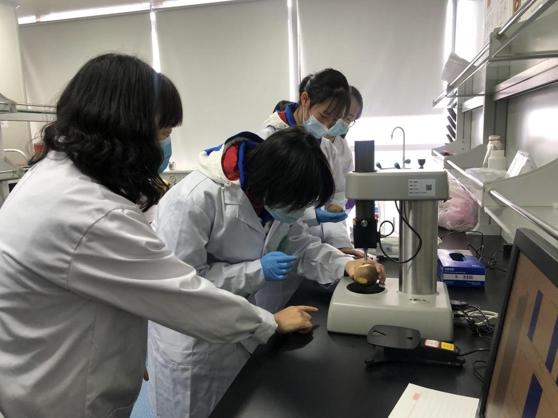 中國—新西蘭獼猴桃“一帶一路”聯合實驗已建成全國首個專注于獼猴桃全產業(yè)鏈技術創(chuàng)新的開放式實驗室。受訪者供圖