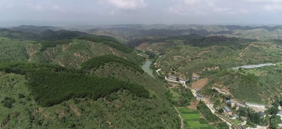 黃土溝壑中的高西溝村滿眼綠色（無人機(jī)照片，2023年7月26日）。新華社記者陳昌奇 攝
