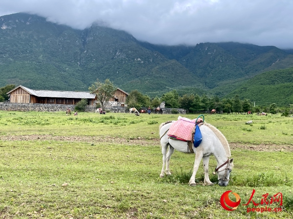 玉湖村附近草甸。人民網(wǎng) 周靜圓攝