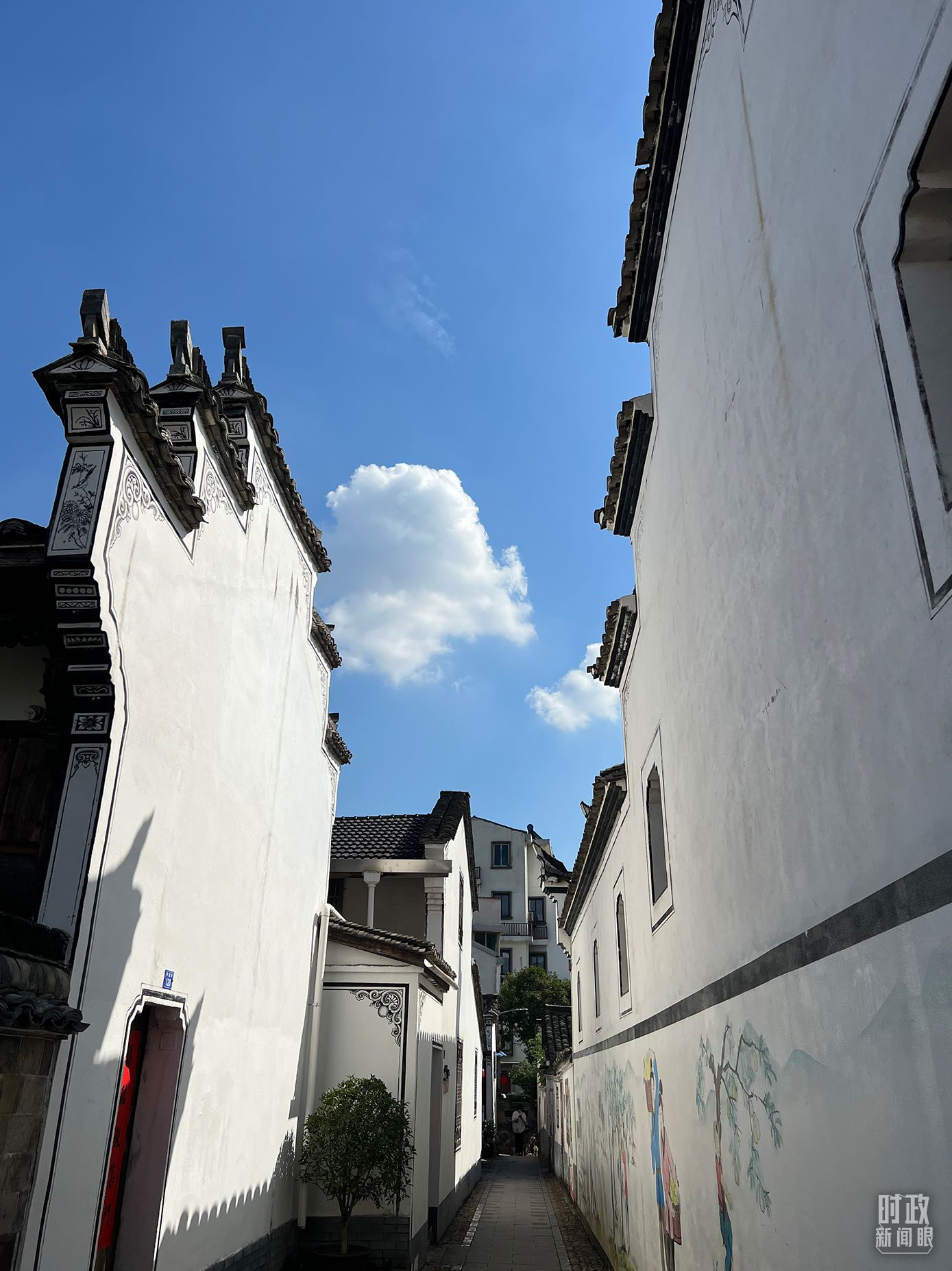 △浙江省金華市義烏市后宅街道李祖村。（總臺(tái)央視記者李煒拍攝）
