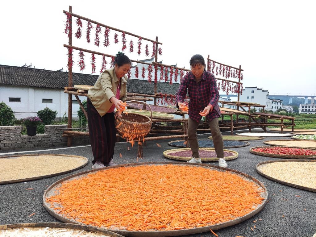 近日，江西省上饒市婺源縣秋口鎮(zhèn)王村的村民正在晾曬農(nóng)作物。新華社記者 劉佳敏 攝