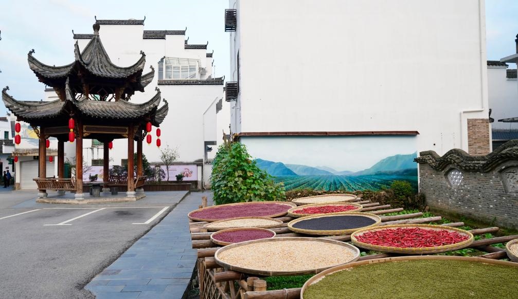 近日拍攝的江西省上饒市婺源縣秋口鎮(zhèn)王村石門自然村曬秋場景。新華社記者 胡晨歡 攝