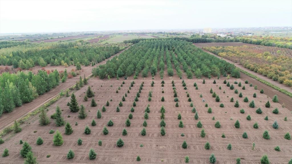 這是2023年9月11日在哈薩克斯坦首都阿斯塔納拍攝的一處植物種質(zhì)資源苗圃（無(wú)人機(jī)照片）。新華社發(fā)（法爾哈特·圖克諾夫 攝）