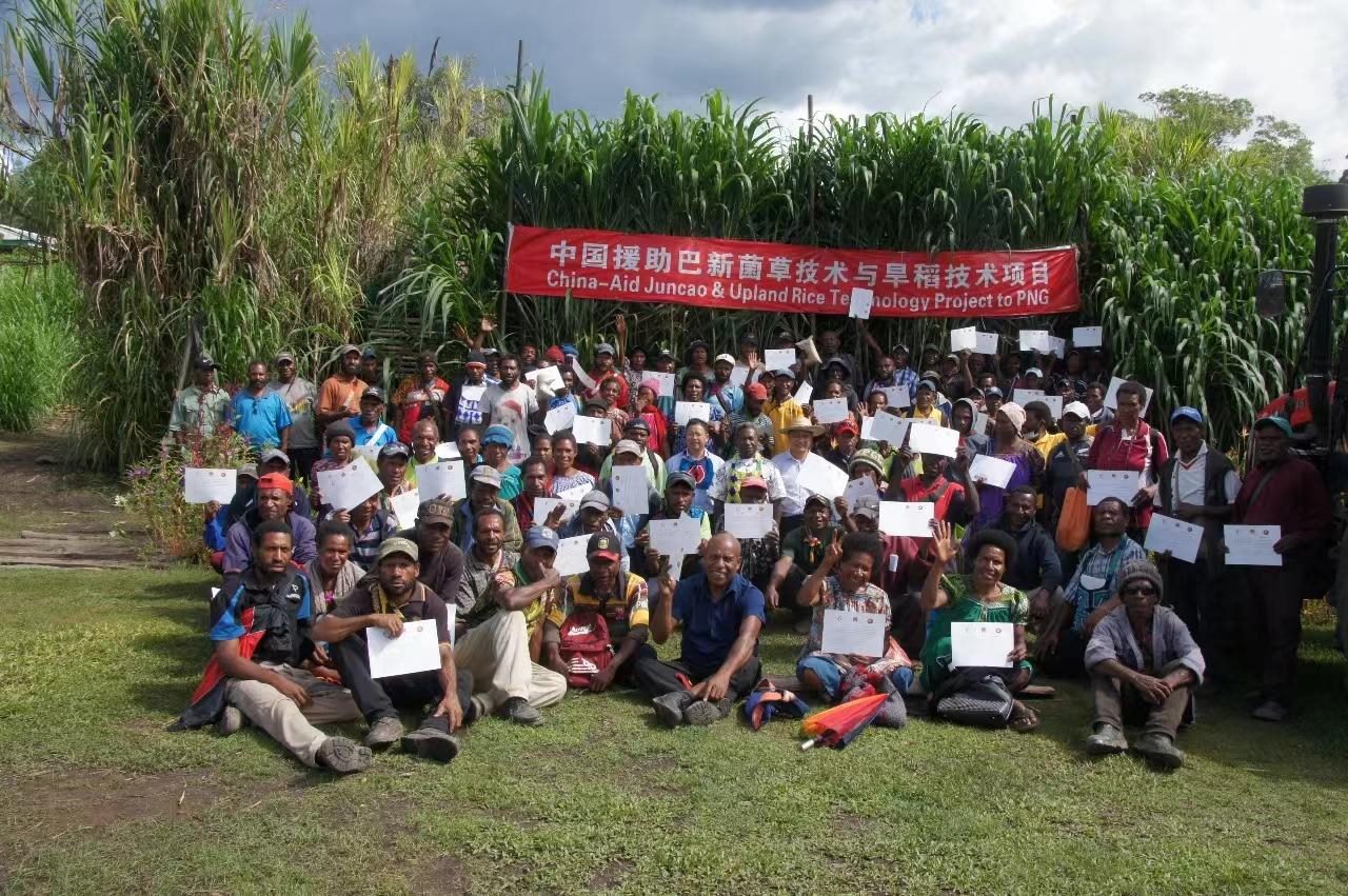△2020年12月17日，在巴布亞新幾內(nèi)亞東高地省，參加中國援助巴新菌草和旱稻技術(shù)項目第9期培訓(xùn)班的當(dāng)?shù)孛癖娬故窘Y(jié)業(yè)證書。