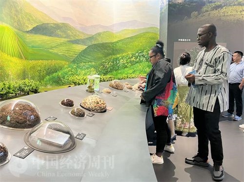  （在中國(guó)藥都中醫(yī)藥博物館，外媒記者了解中醫(yī)藥發(fā)展史。中國(guó)經(jīng)濟(jì)周刊記者 郭志強(qiáng) 攝）