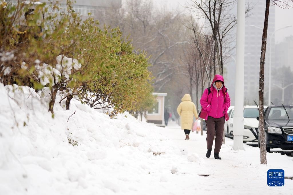 11月16日，市民在雪中前行。當日，黑龍江哈爾濱市迎來雨雪天氣。新華社記者 王建威 攝
