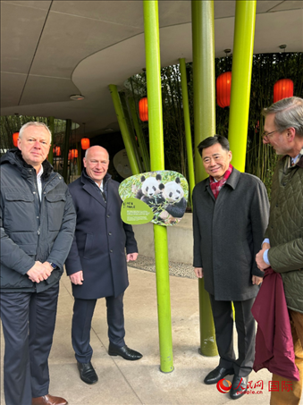 中國駐德國大使吳懇（右二）、柏林市長韋格納（左二）、動物園園長克尼里姆（右一）和監(jiān)事會主席布魯克曼（左一）共同為“夢想”“夢圓”大熊貓紀念牌揭幕。人民網(wǎng)記者 徐馨攝