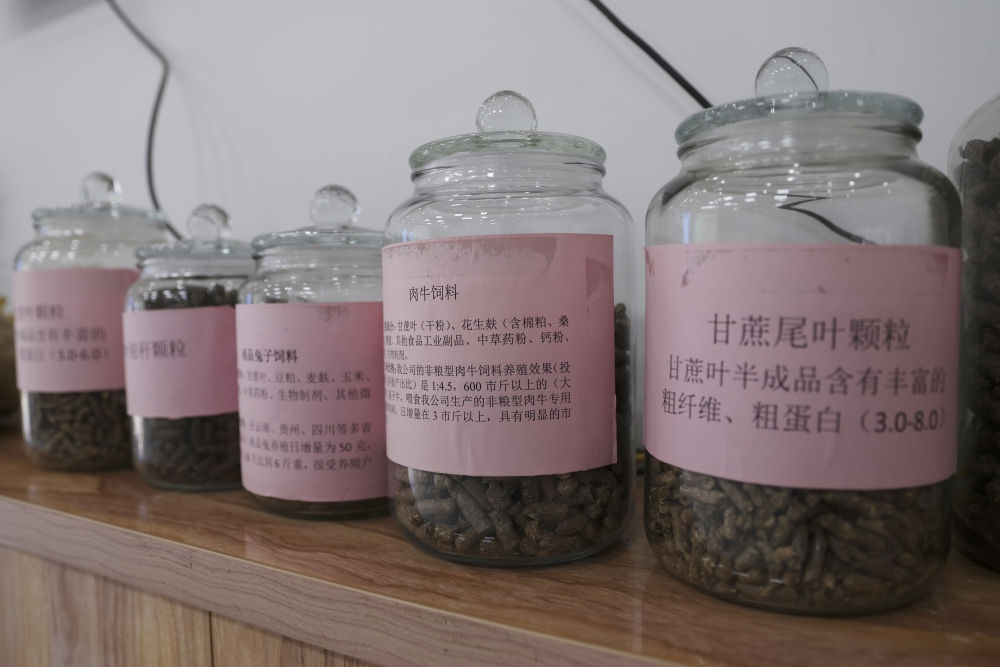 這是12月13日在來賓市興賓區(qū)小平陽鎮(zhèn)一家飼料廠拍攝的以甘蔗尾葉為原料制成的飼料。
