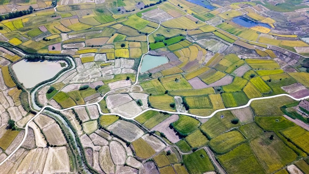 安徽省鳳陽(yáng)縣小崗村的田野景象（2018年9月27日攝，無(wú)人機(jī)照片）。新華社記者 張端 攝