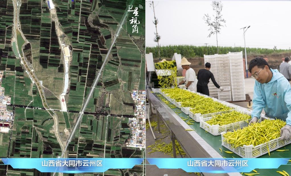 當(dāng)前，大同市開發(fā)黃花菜品、食品、飲品、功能食品、化妝品、文創(chuàng)產(chǎn)品六大系列130余種，全產(chǎn)業(yè)鏈產(chǎn)值超40億元。