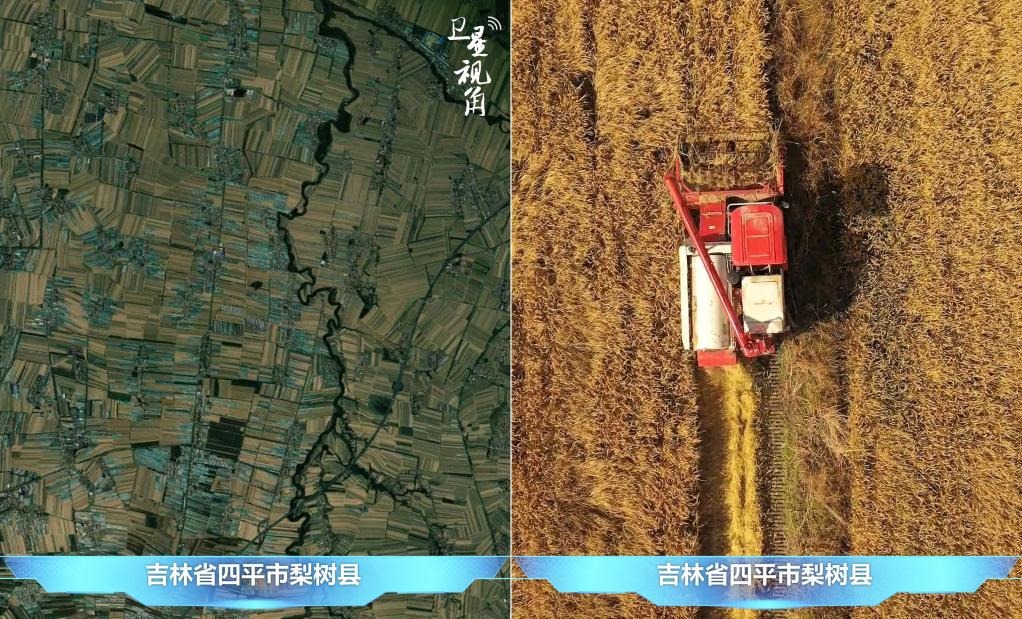 隨著現(xiàn)代化農(nóng)機(jī)普及應(yīng)用，保護(hù)性耕作“梨樹模式”得以大面積推廣，不僅使黑土地保護(hù)與利用持續(xù)深入，更為糧食作物高產(chǎn)穩(wěn)產(chǎn)助力。