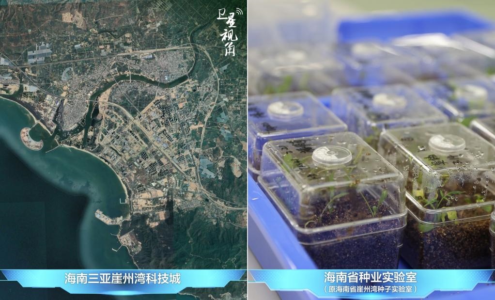 位于三亞崖州灣科技城的海南省種業(yè)實(shí)驗(yàn)室（原海南省崖州灣種子實(shí)驗(yàn)室）將形成輻射全國(guó)和“一帶一路”沿線國(guó)家的種子科學(xué)技術(shù)創(chuàng)新中心。