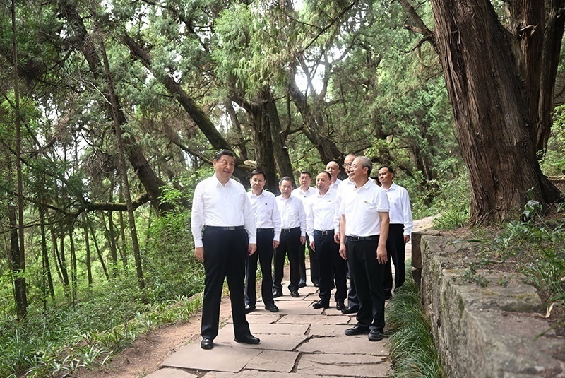 2023年7月25日，習(xí)近平總書記在四川廣元市劍閣縣翠云廊考察。新華社記者 謝環(huán)馳 攝