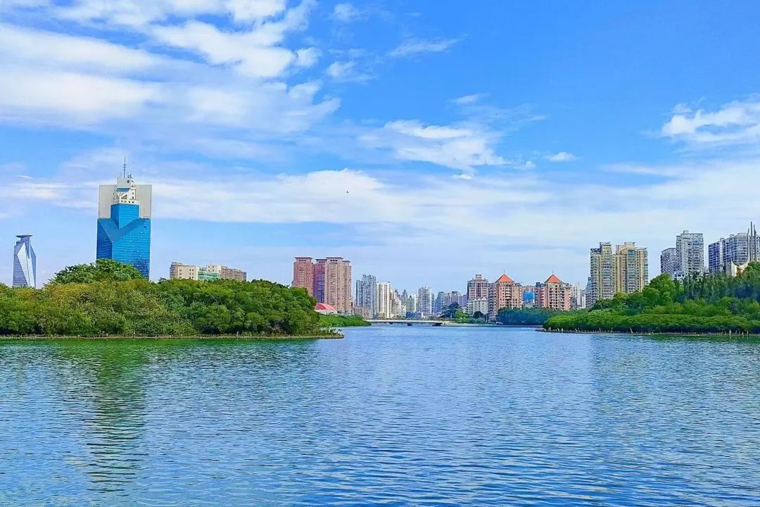 筼筜湖（人民網記者 陳博攝）