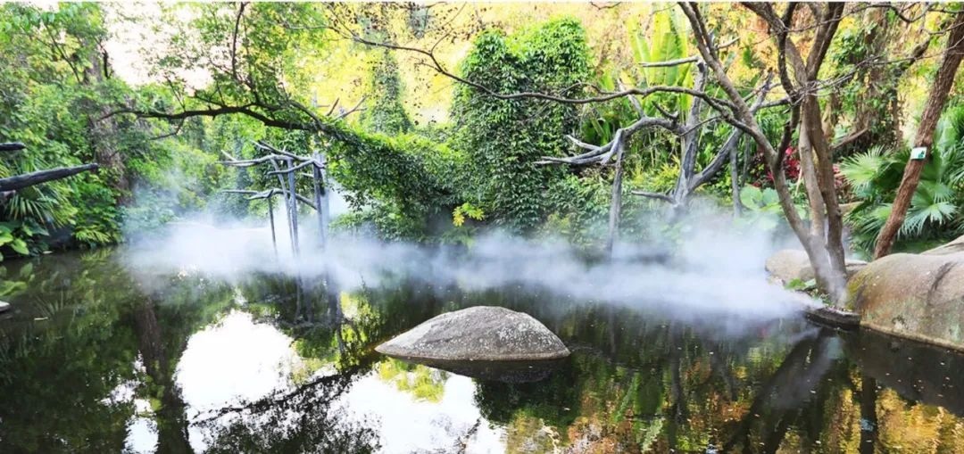 △鼓浪嶼-萬石山風景名勝區(qū)重要組成部分廈門園林植物園熱門景點“雨林世界”。