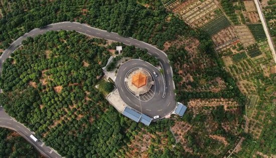 廣東茂名高州市根子鎮(zhèn)打造的荔枝林景觀