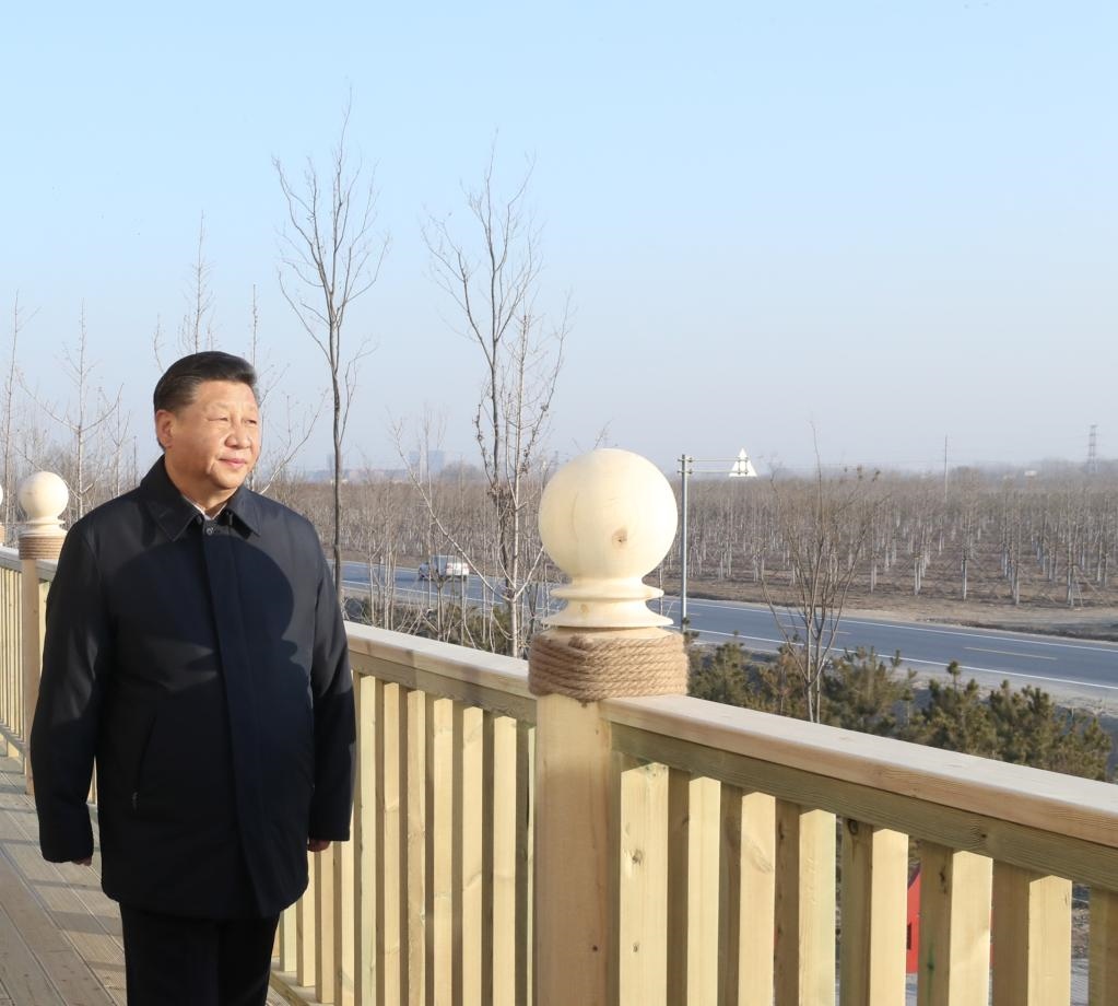 2019年1月16日，在河北雄安新區(qū)“千年秀林”大清河片林一區(qū)造林區(qū)域，習(xí)近平總書記登上秀林驛站二層平臺遠(yuǎn)眺林區(qū)全貌。新華社記者 鞠鵬 攝