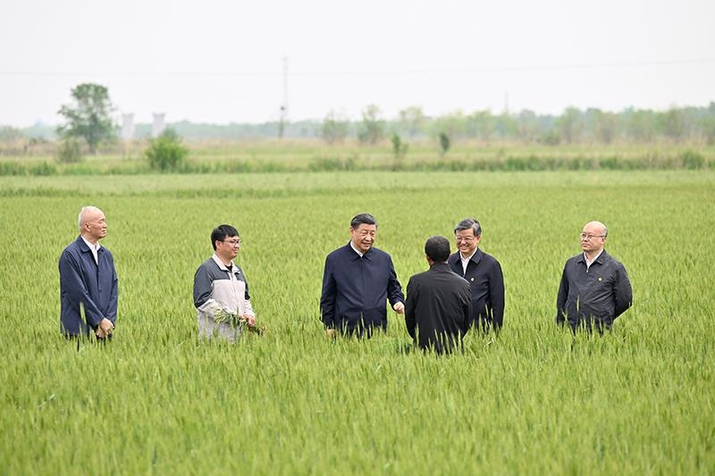△2023年5月11日，習(xí)近平總書記在河北滄州黃驊市舊城鎮(zhèn)仙莊片區(qū)旱堿地麥田同種植戶、農(nóng)技專家親切交流。