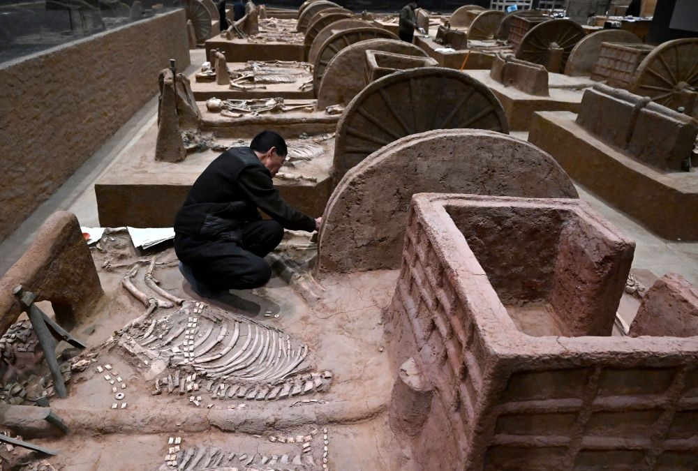 工作人員在殷墟博物館新館的展廳內(nèi)修復(fù)車馬遺跡（2月23日攝）。